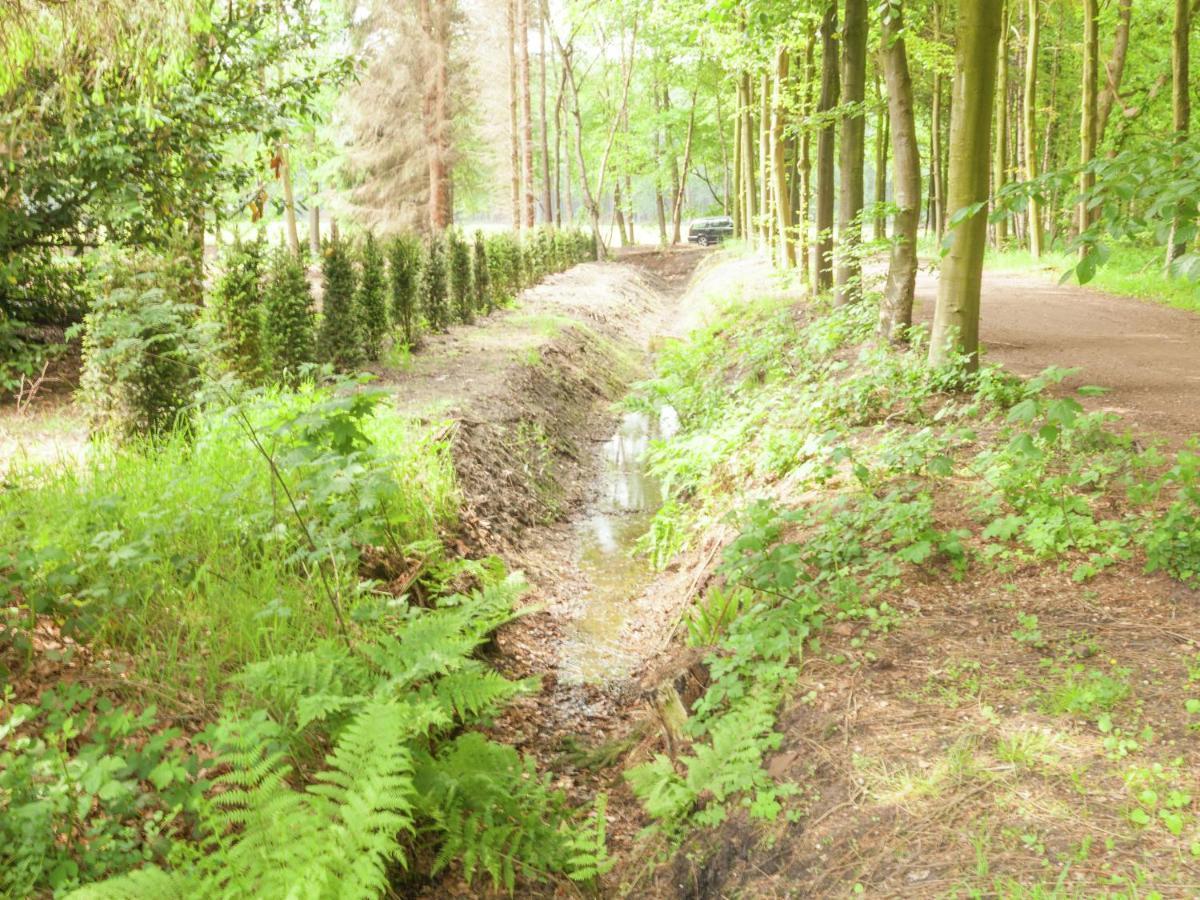 Cozy Holiday Home near Forest in Baarn Buitenkant foto
